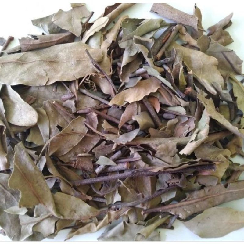 

Benalu kering herbal benalu hutan asli premium 100 gram