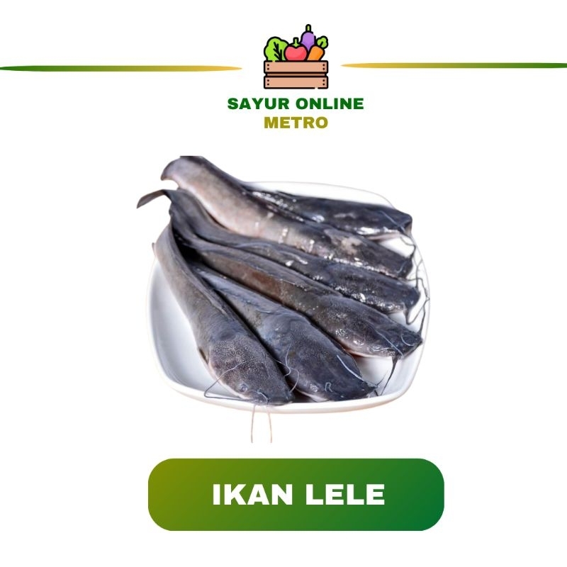 

Ikan lele /segar / 1 kilo - Sayur Online Metro