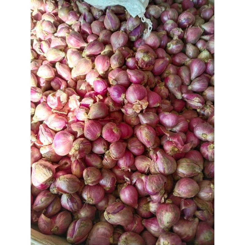 

Bawang Merah kering Lokal Nganjuk
