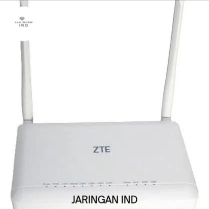 ONT ZTE F670L