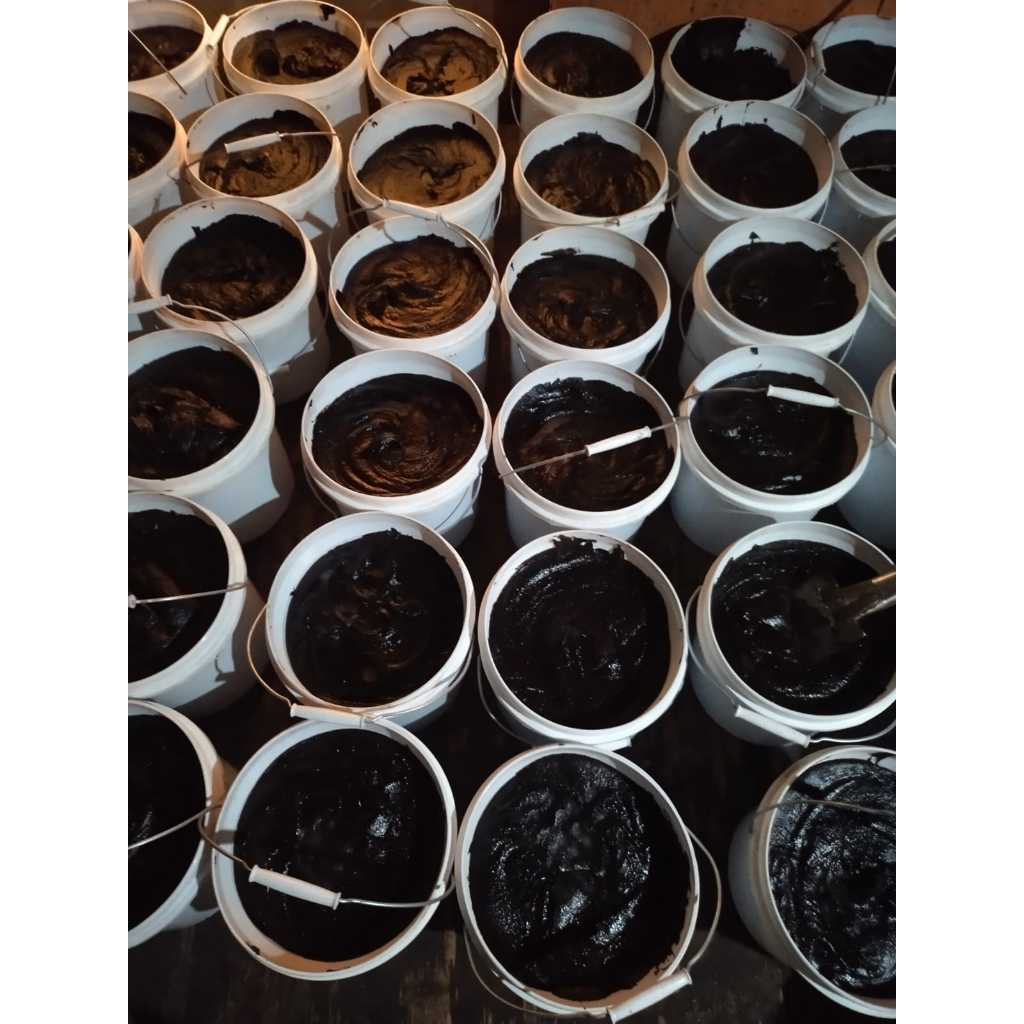 

Petis Udang Grade A+ Kampung Petis Sekardangan Sidoarjo - 1KG