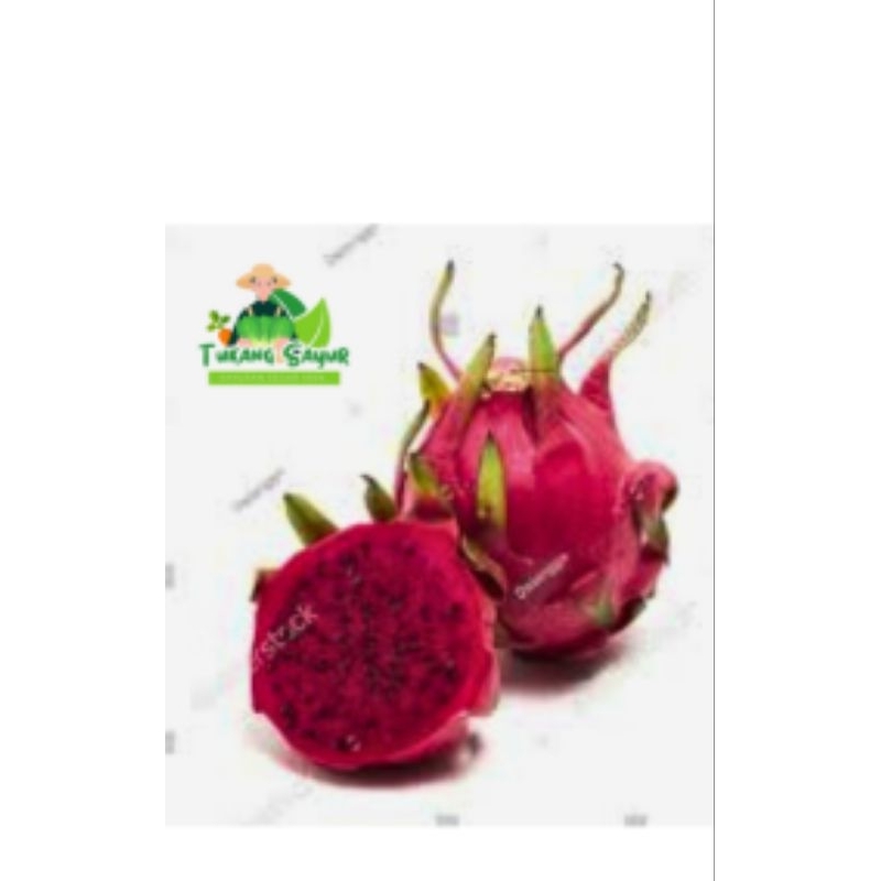 

Buah Naga 1 Kg Fresh