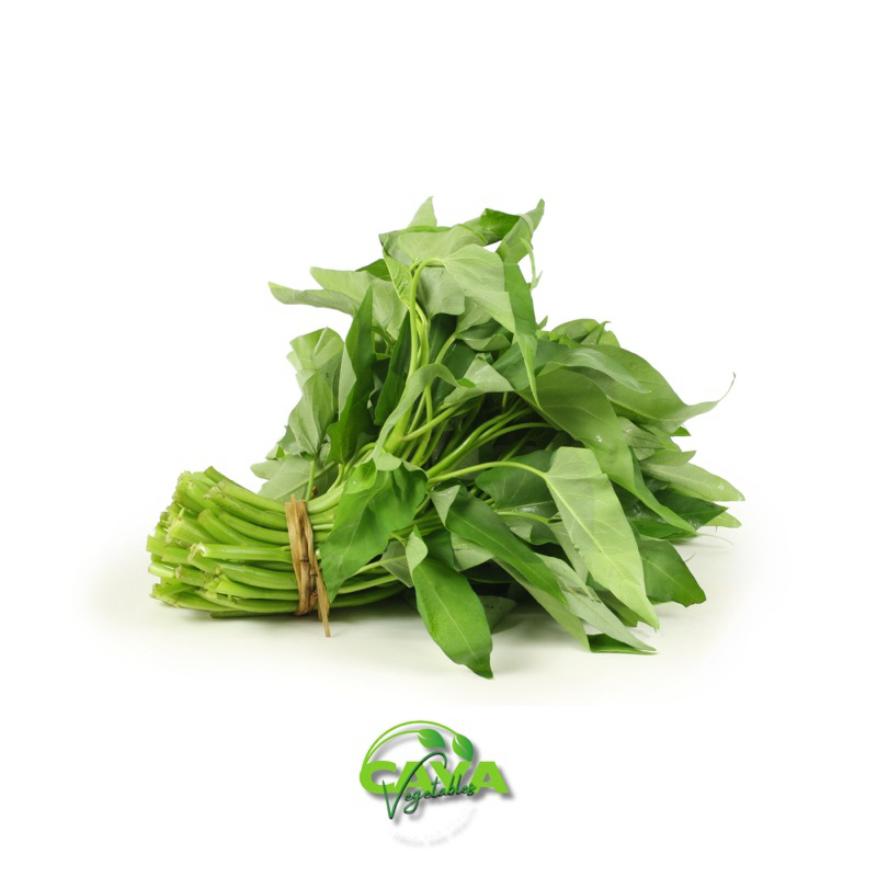 

KIRIM INSTAN Kangkung Segar 250g / 500g – Daun Hijau Renyah, Siap Masak