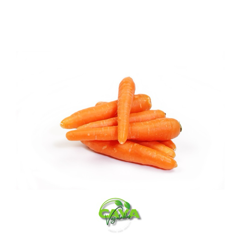 

KIRIM INSTAN Wortel Impor Premium – Segar, Renyah & Manis | 500g / 1Kg