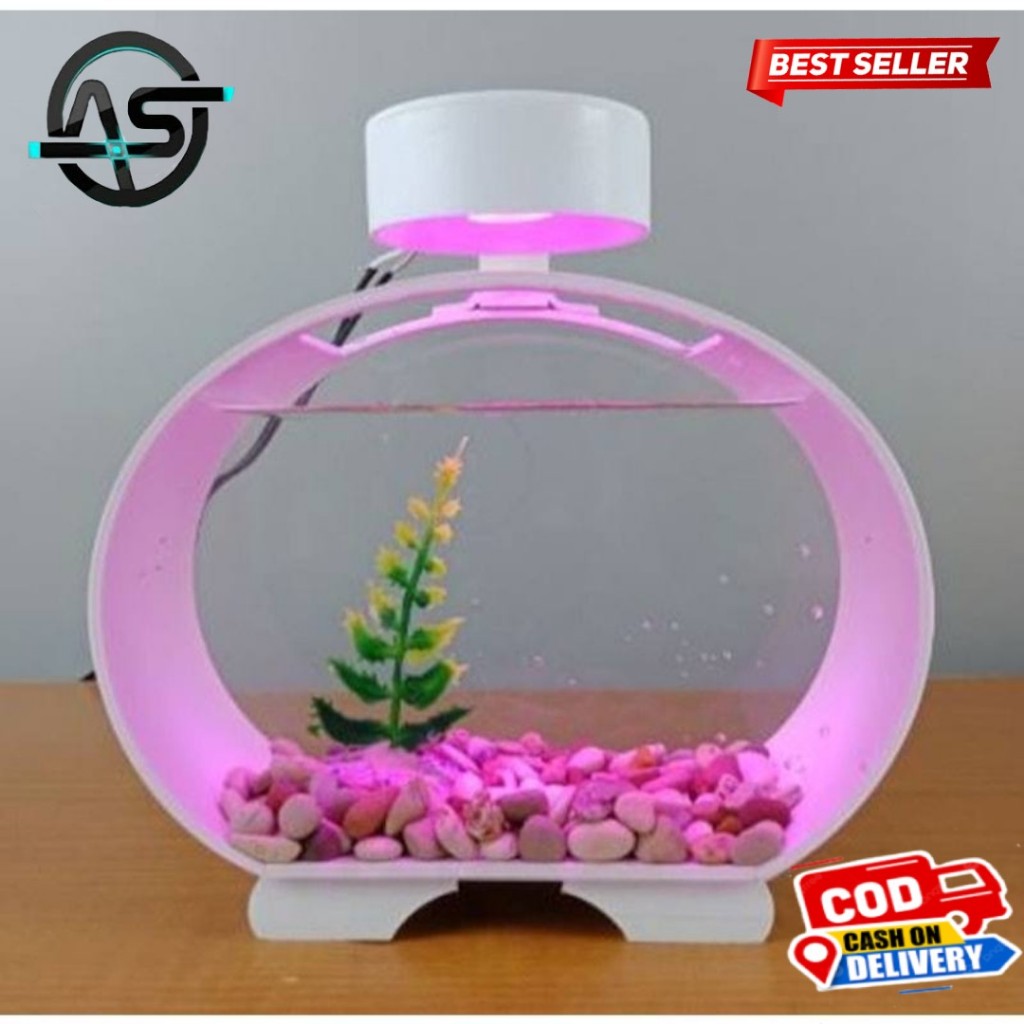 Aquarium ikan Cupang Soliter Akrilik Aquarium mini lengkap dengan batu bunga hias plus lampu