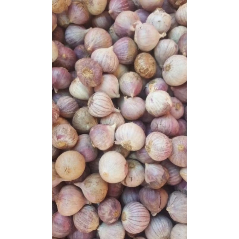 

nonakembar.shop❣️ Bawang Putih Tunggal 250 gram