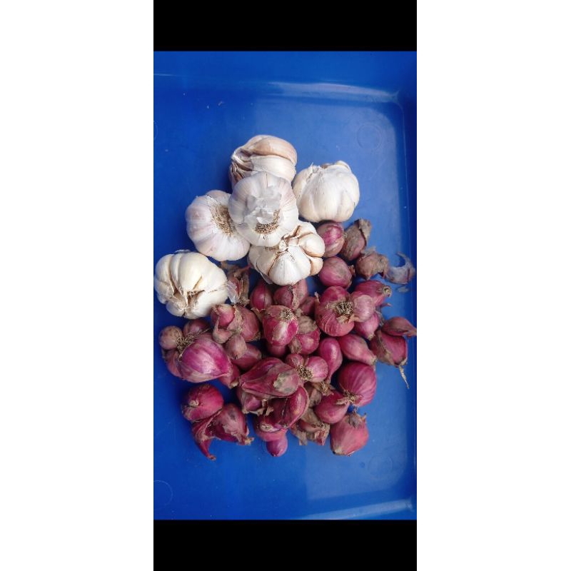 

paket 500gr mix bawang merah 250g + bawang putih 250g