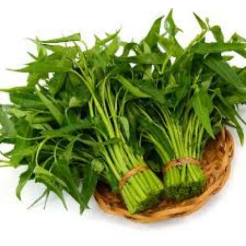 

KANGKUNG SAYUR / SAYUR SEGAR DEPOK