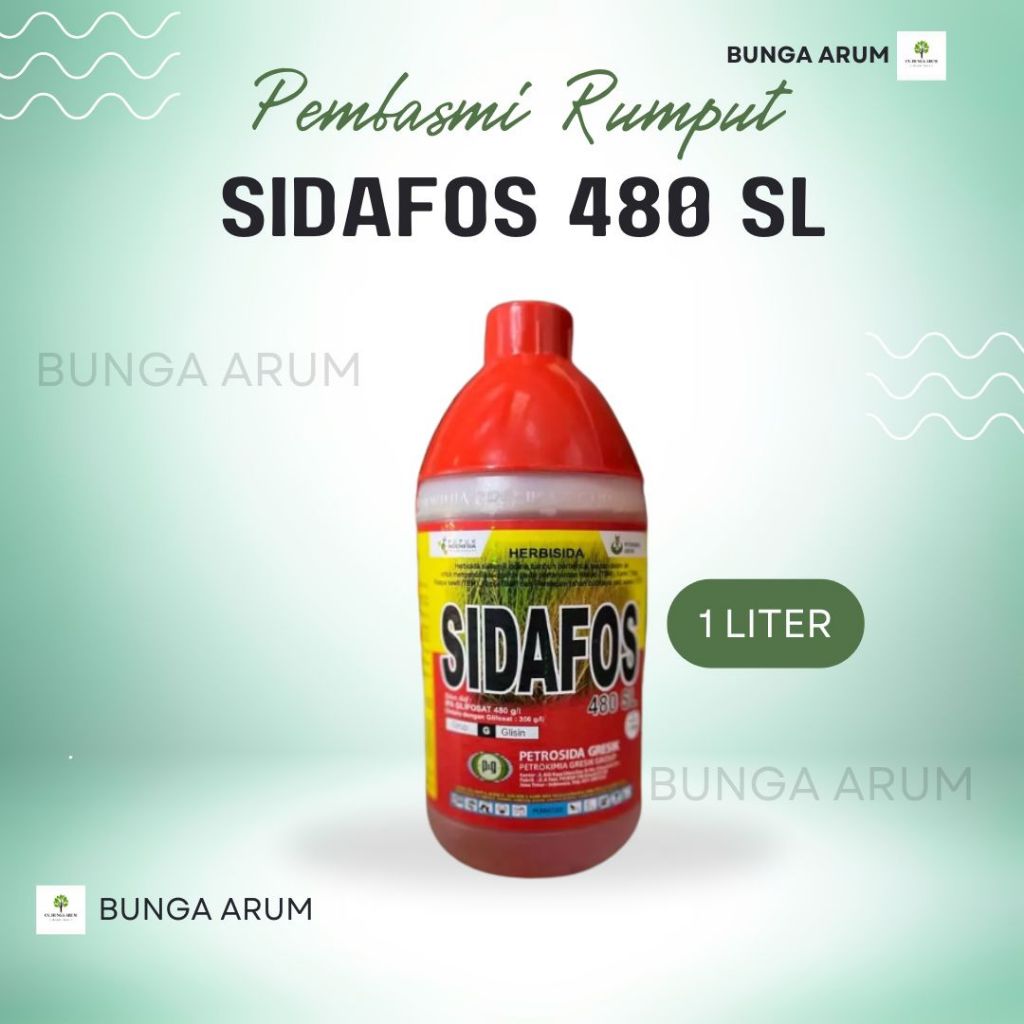 sidafos 1 liter/ obat rumput herbisida