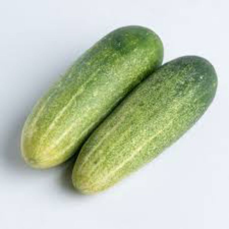 

Timun Lokal Fresh 500g