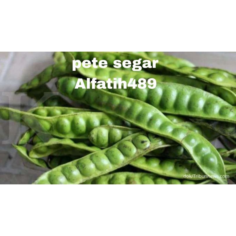 

PETE10PERIKAT/PETEBESAR ASLI LUMAJANG