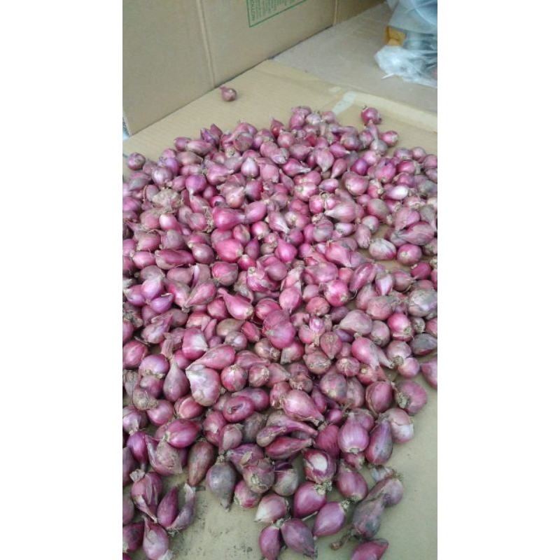 

Bawang Merah Brebes