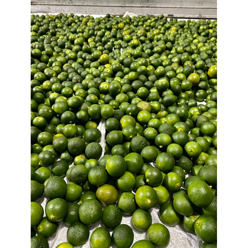 

Jeruk peras/jeruk lemon cui/jeruk sonkit/jeruk kasturi 1KG UKURAN SEDANG