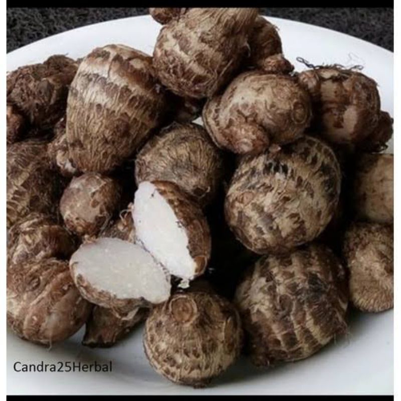 

umbi /talas pulen 1kg