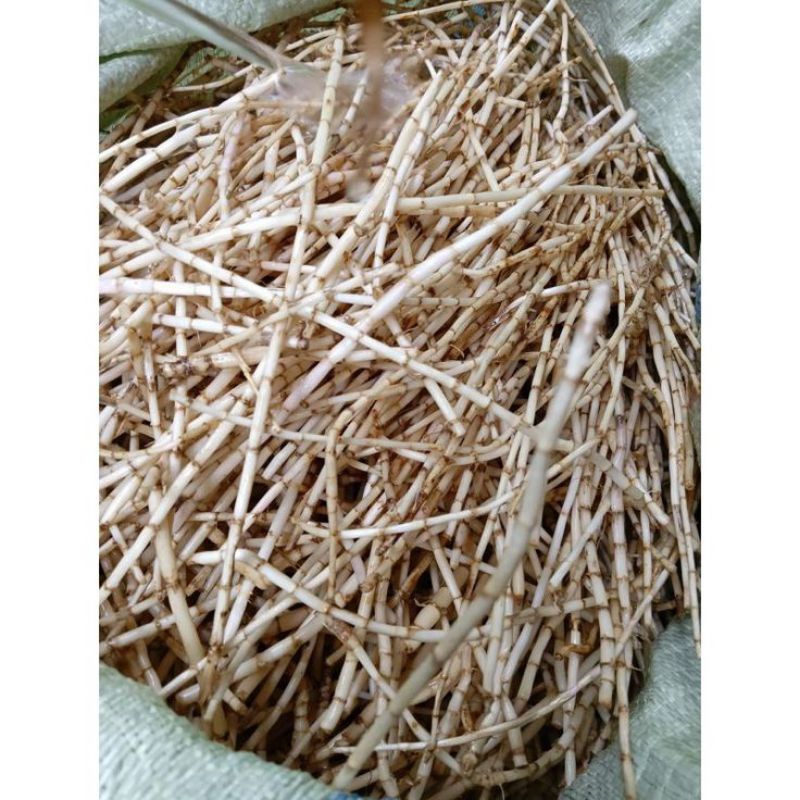 

Akar alang-alang bersih 100 gram