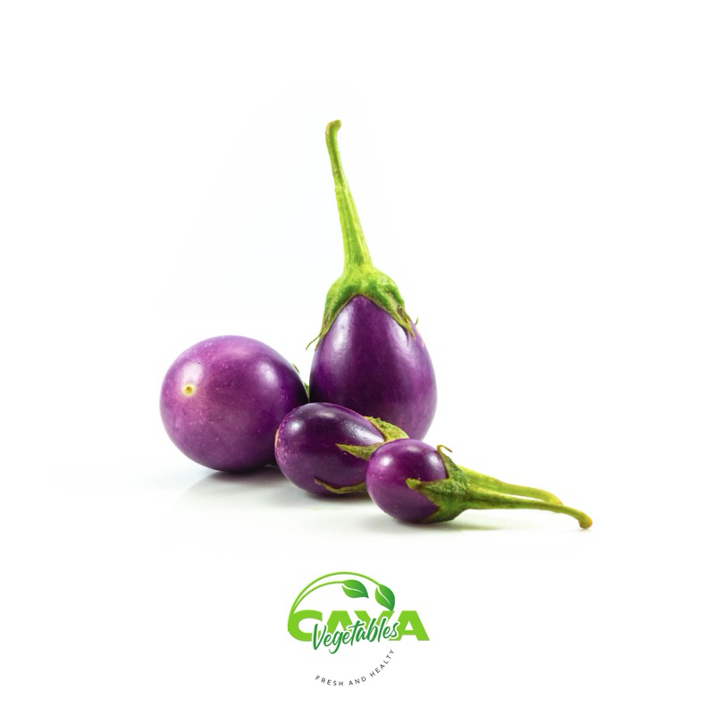 

KIRIM INSTAN Terong Ungu Lalap 500g – Segar