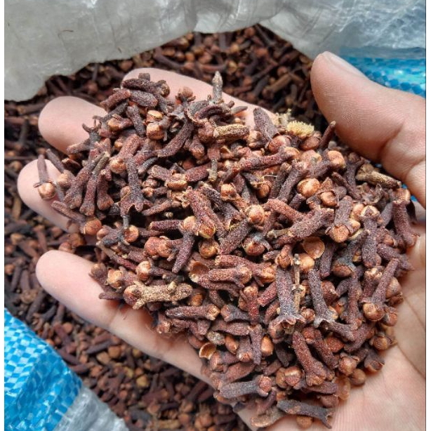 

Cengkeh Kering Premium Asli 100% | Cengkeh Rempah Berkualitas | Cloves Grade Super 1kg