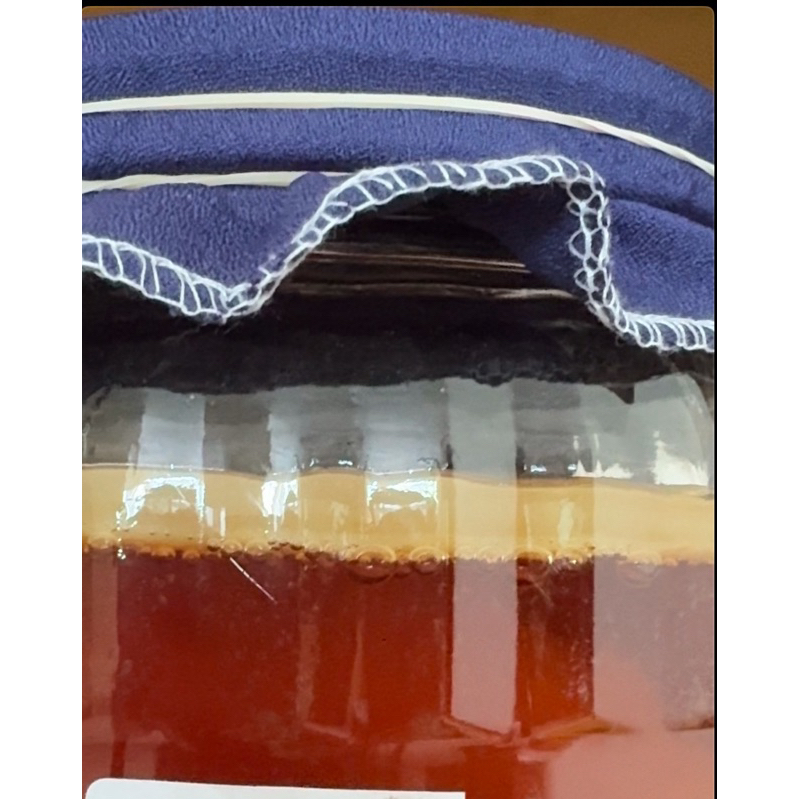 

BIBIT SCOBY/ BIBIT/STARTER KOMBUCHA PREMIUM dari bahan ORGANIC by @drzada__