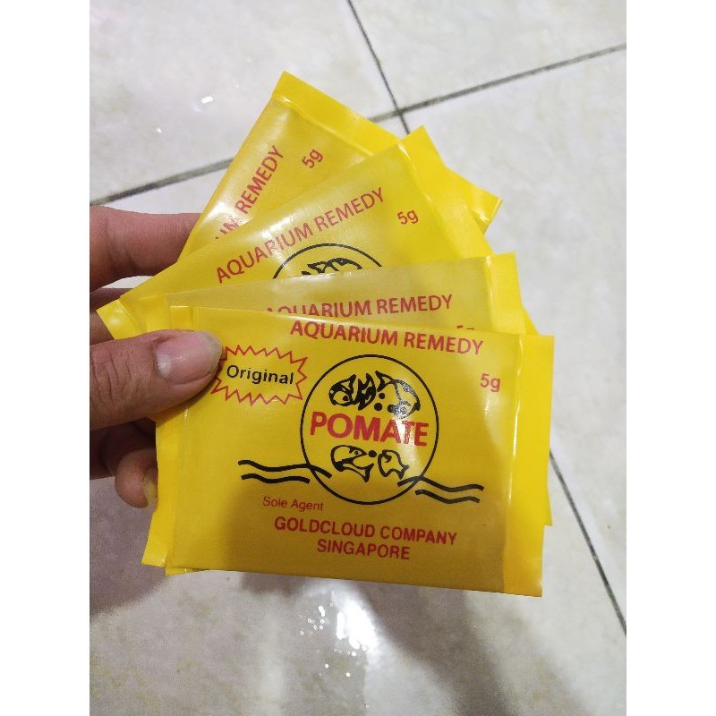 Obat Pomate Ikan