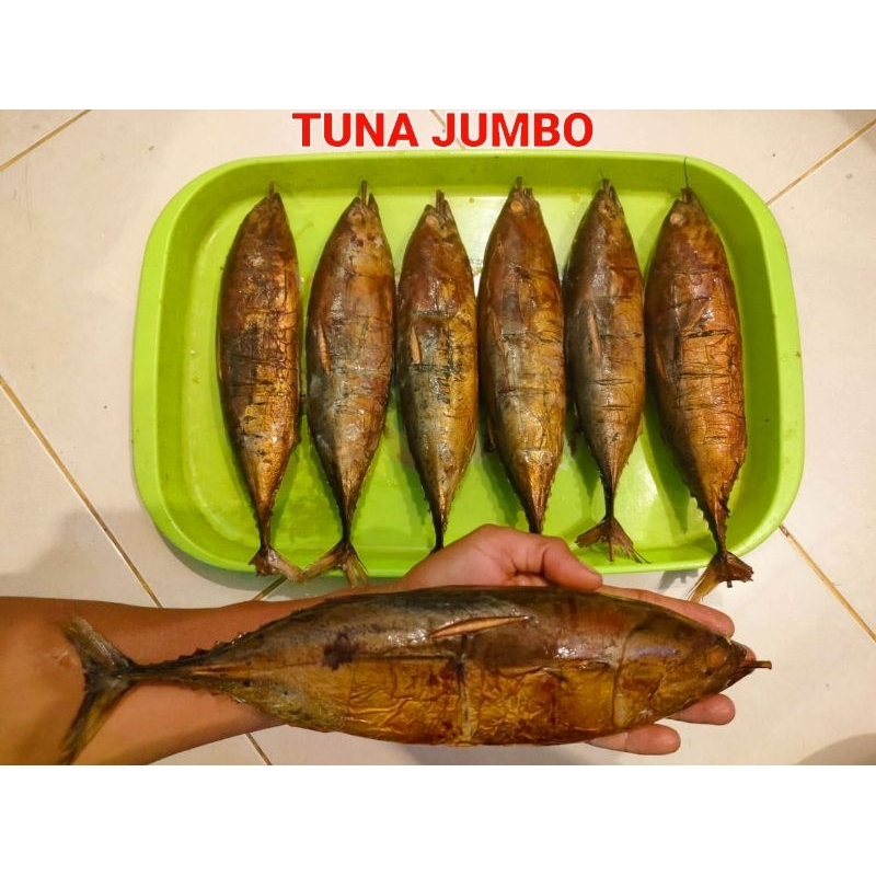 

IKAN ASAP TUNA JUMBO ISI 2 MURAH 21RB