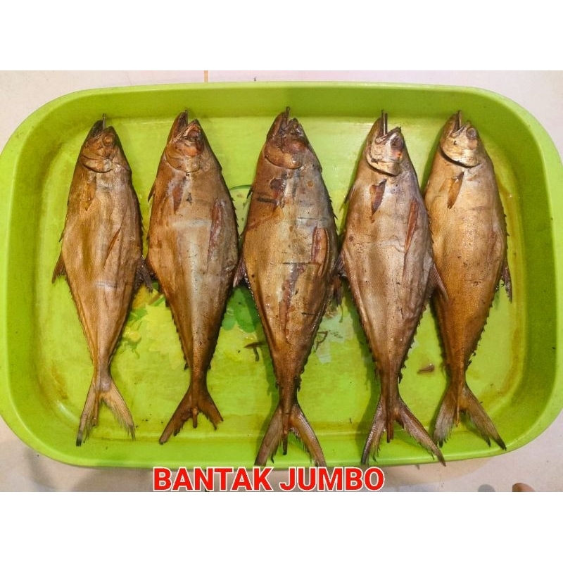 

IKAN ASAP BANTAK JUMBO ISI 2 MURAH 20RB