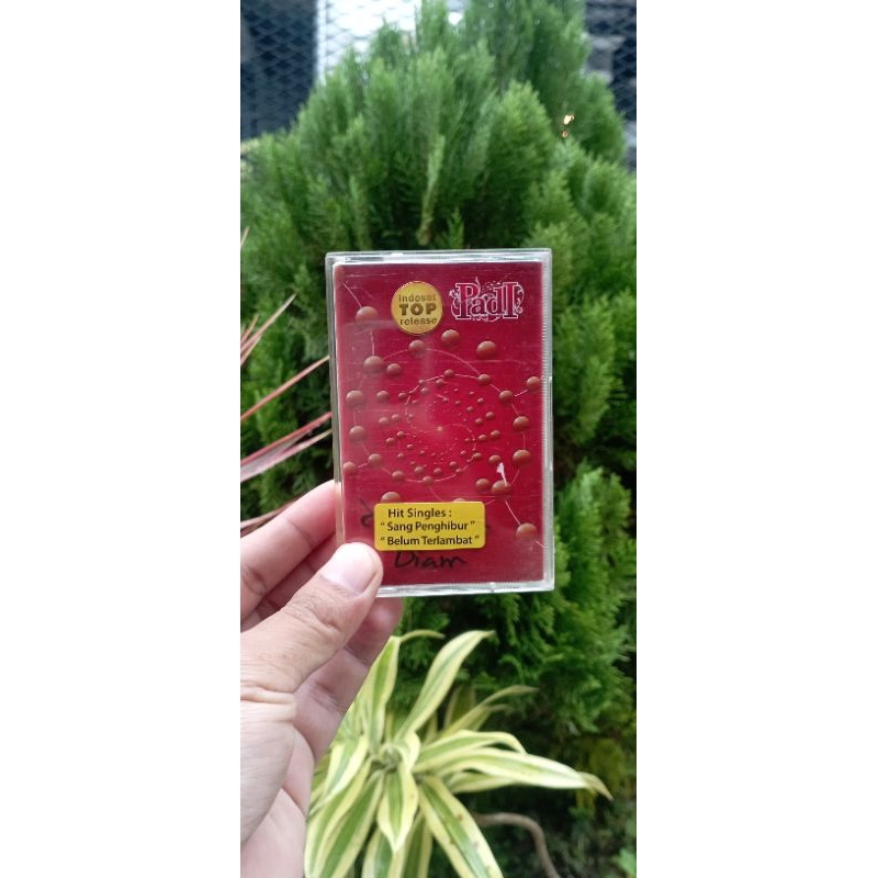 kaset padi tak hanya diam