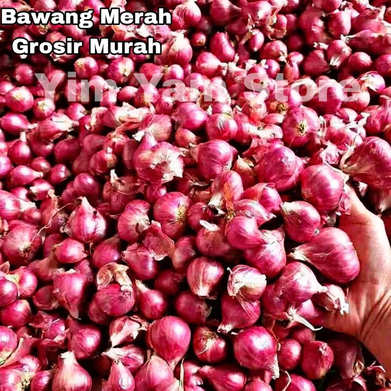 

bawang merah segar 100gr grosir murah