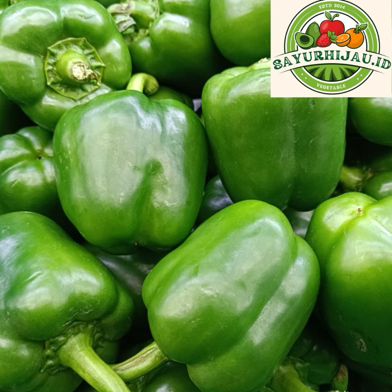 

Sayur Murah - Paprika Hijau 1kg MURAH