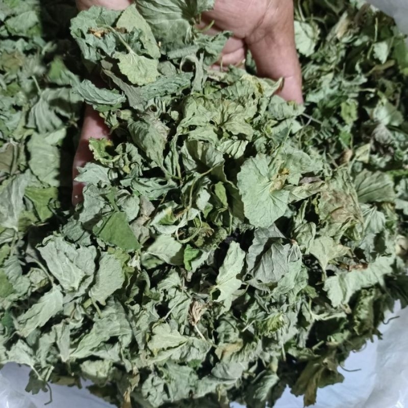 

Daun pegagan kering/daun antanan kering murni tanpa akar 100 gram