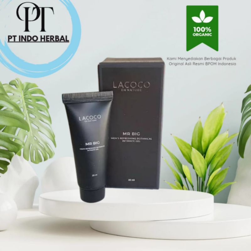 LACOCO MR BIG KHUSUS UNTUK PRIA DEWASA ASLI ORIGINAL