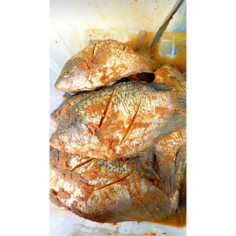 

KIRIM INSTANT ISI 4 EKOR IKAN NILA BUMBU KUNING LEZAT DAN BERGIZI