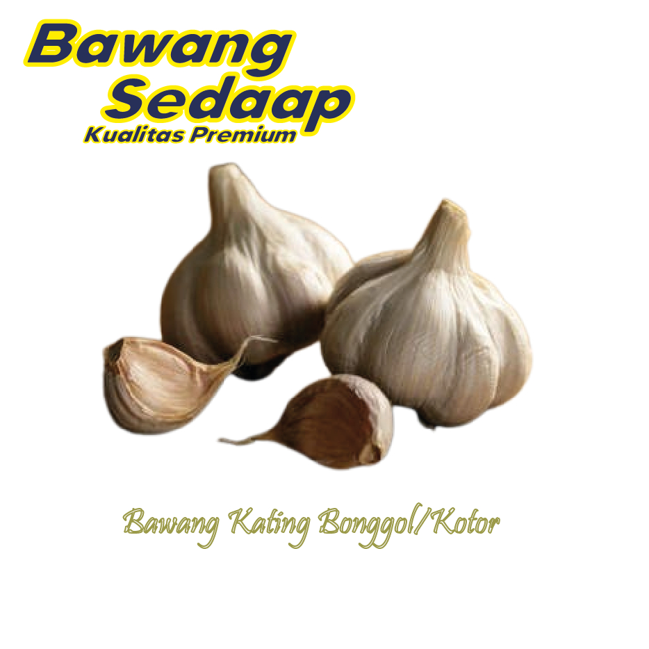 

Bawang Kating Bonggol / Kotor