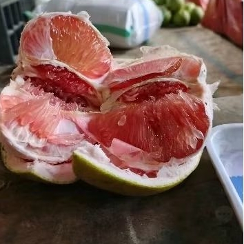 

Partai besar Jeruk Pamelo Madu Asli Bageng berat 5 kg, 10 kg, 20 kg, 30 kg, 40 kg, 50 kg.