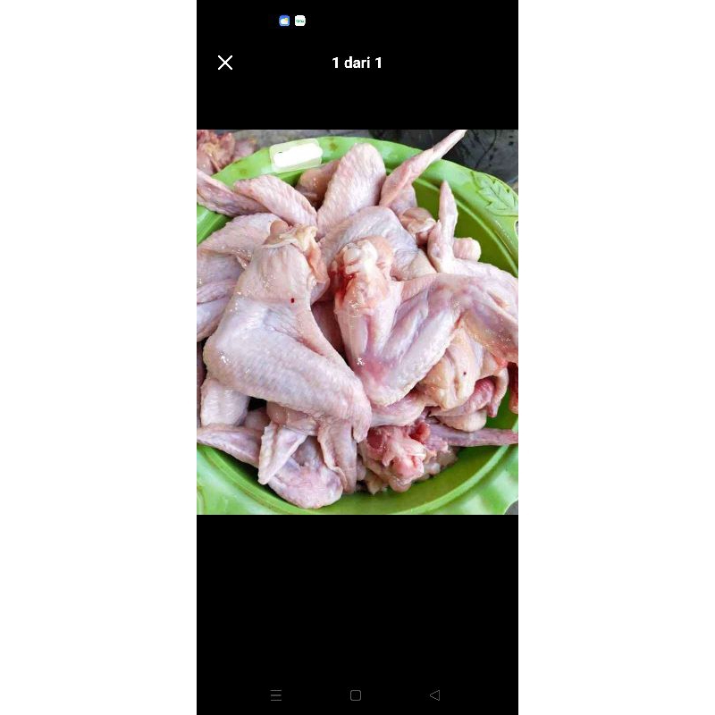 

sayap ayam