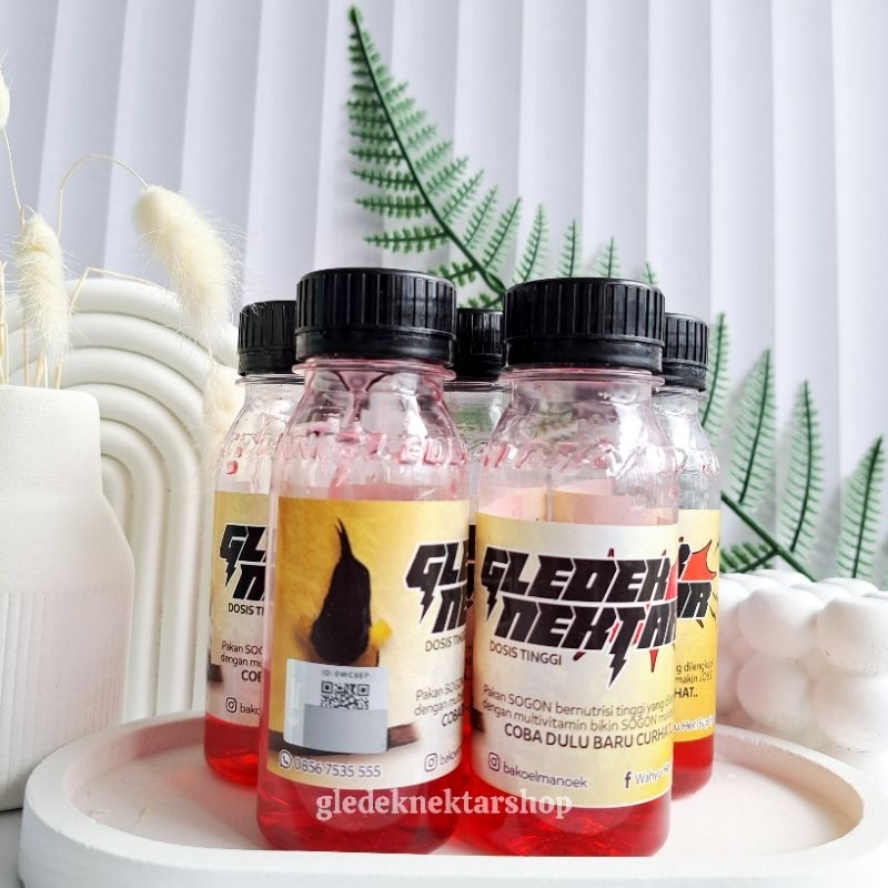 GLEDEK SOGON special varian doping untuk harian & lomba