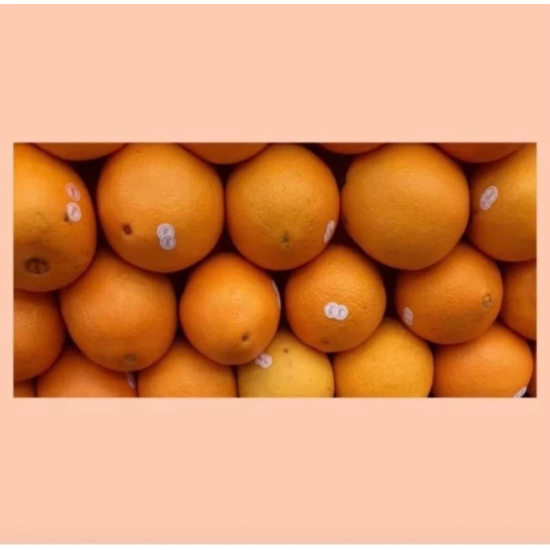 

Jeruk sunkist navel Valencia / jeruk valencia / jeruk sunkist