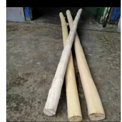 tangkringan burung parrot  kayu kopi