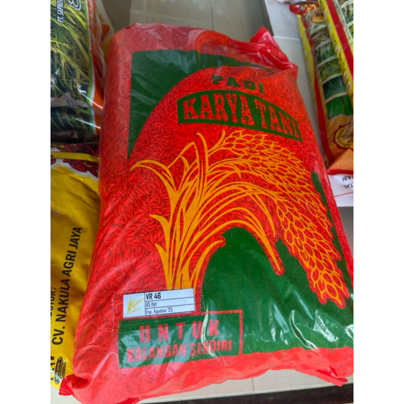 Benih padi VR46 berkualitas 5KG