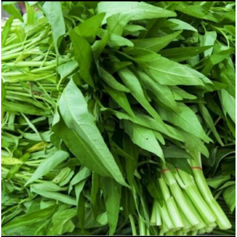 

sayur kangkung segar alami per kiloan