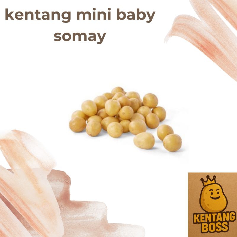 

kentang baby siomay/rendang 1 kg fresh dan segar