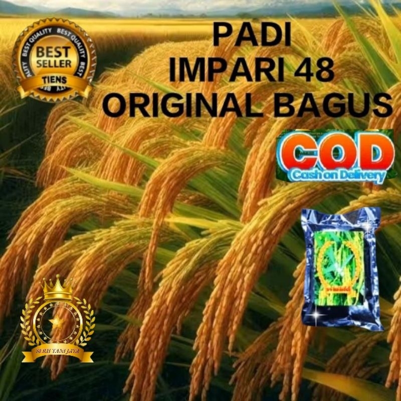 BENIH PADI INPARI 48 SUPER UNGGUL BERKUALITAS 5KG