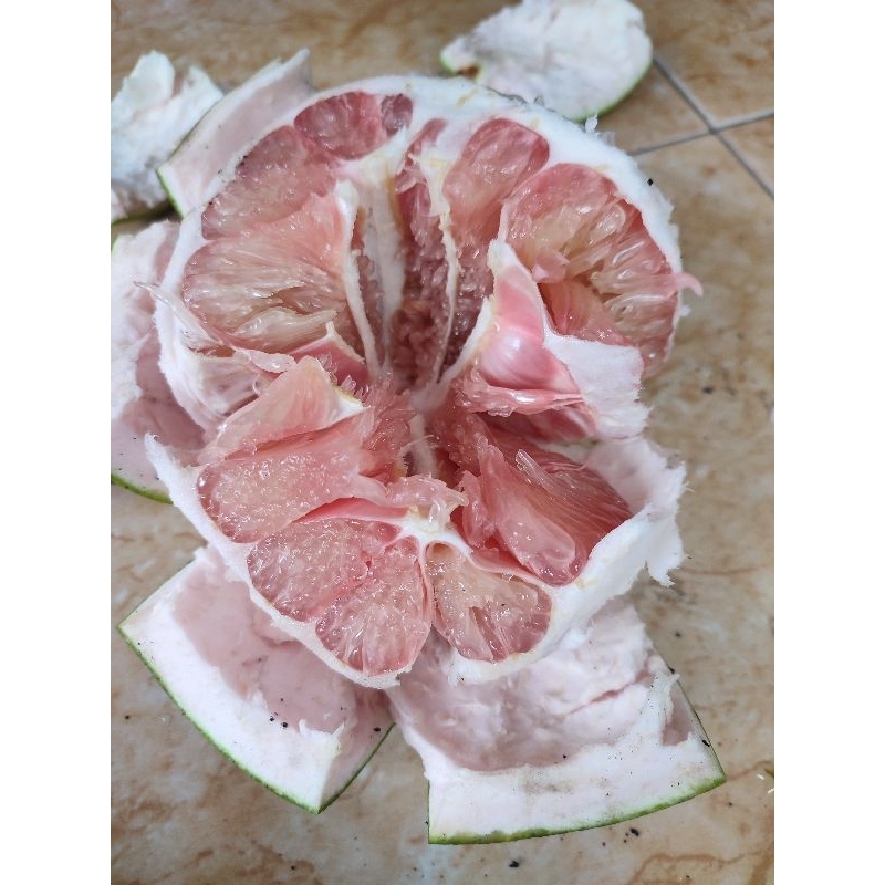 

Jeruk Pamelo Madu Bageng dari Pati berat 900 gr - 1,2kg