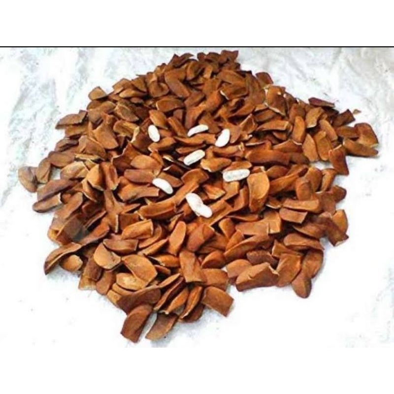 

biji mahoni obat herbal 200biji