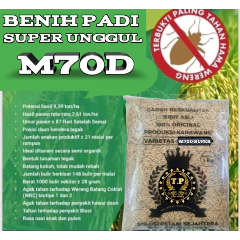 Benih Bibit Padi M70D SUPER 1KG