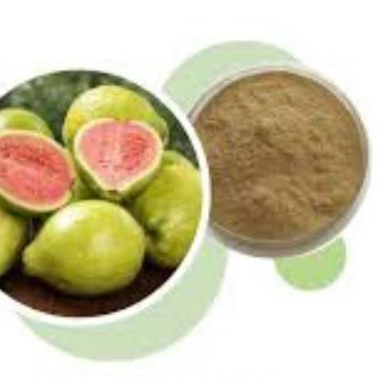 

Bubuk Serbuk Daun Jambu Biji 100 Gram