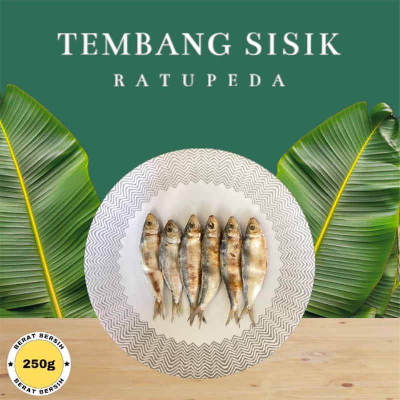 

Ikan Asin Tembang Sisik Full Kualitas Super