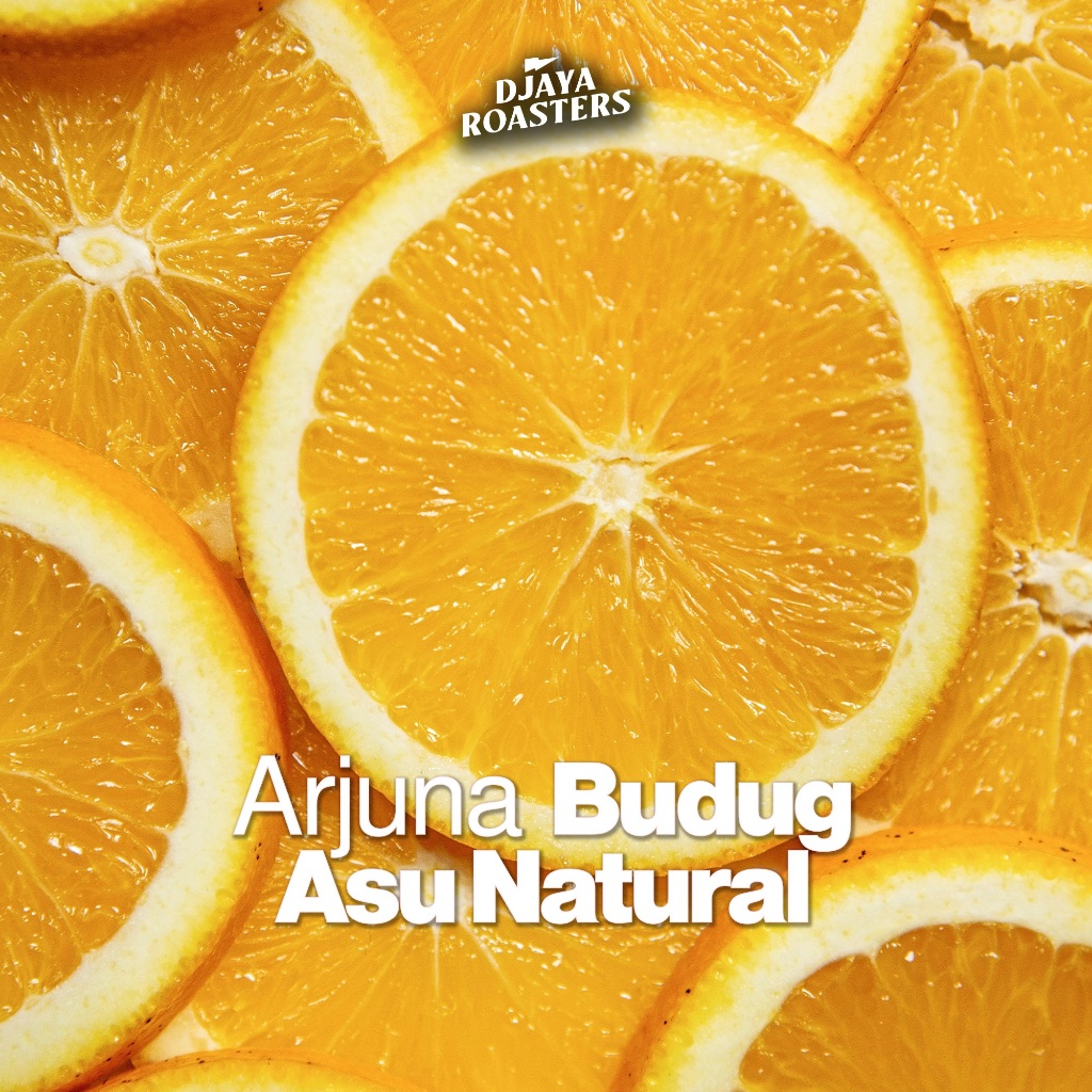 

Arjuna Budug Asu NATURAL Single Origin Filter Coffee