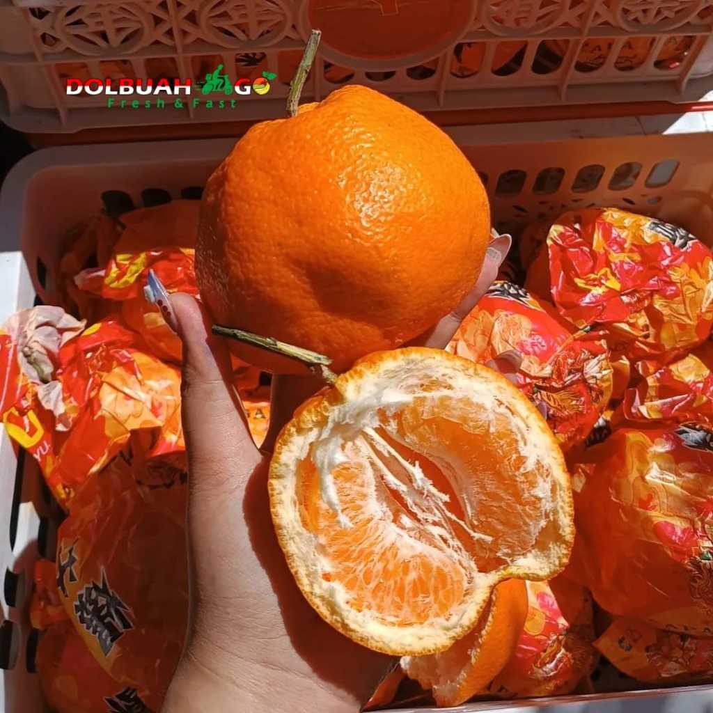 

Jeruk Papagan Dekopon Manis Segar Bulir Besar Tanpa Biji - Dolbuah