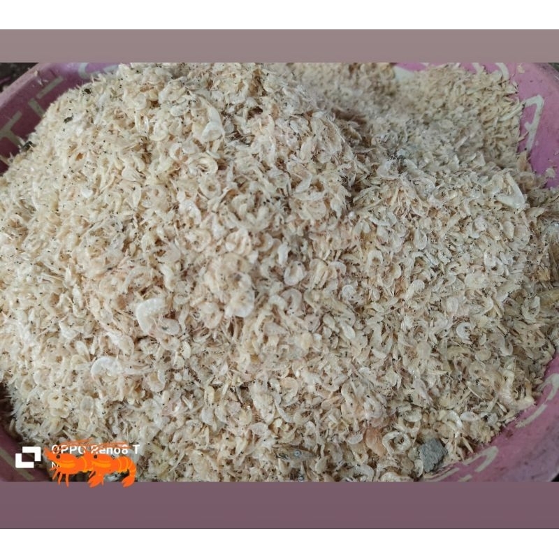 

Udang Rebon Kering ikan asin seafood isi 250gr