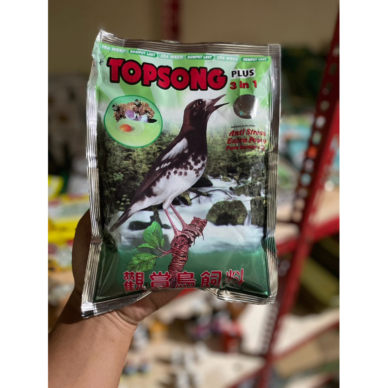 TOP SONG HIJAU ( RUMPUT LAUT )_ PAKAN BURUNG